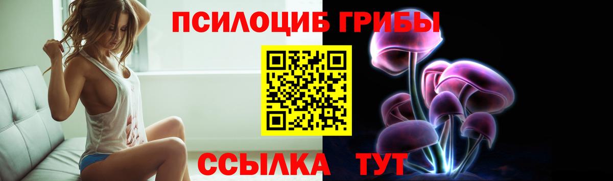 где купить наркоту  Вход с VPN  Кинель  Псилоцибиновые грибы прущие грибы 